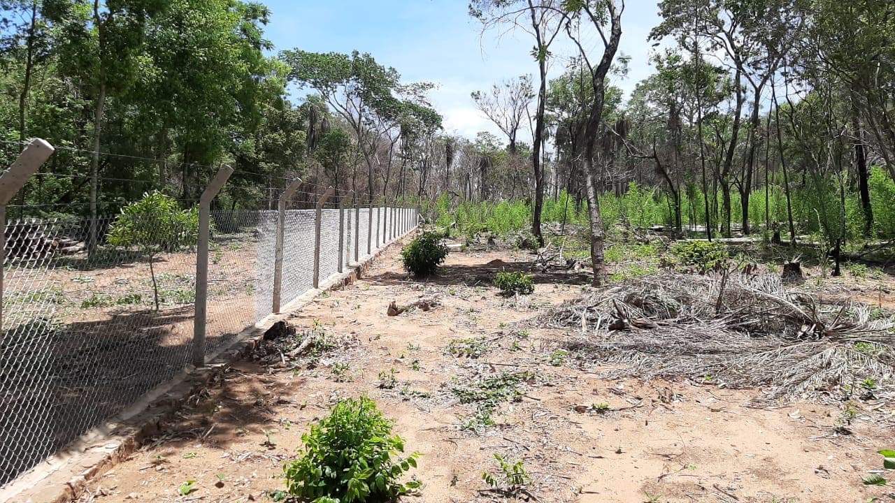 Terrenos en San Bernardino: Lotes de 1.300 m² – Zona Cristóbal Colón