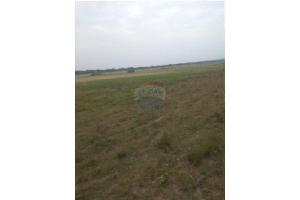 Campo 166,5 hectáreas - san pedro del ycuamandiyu, foto 3