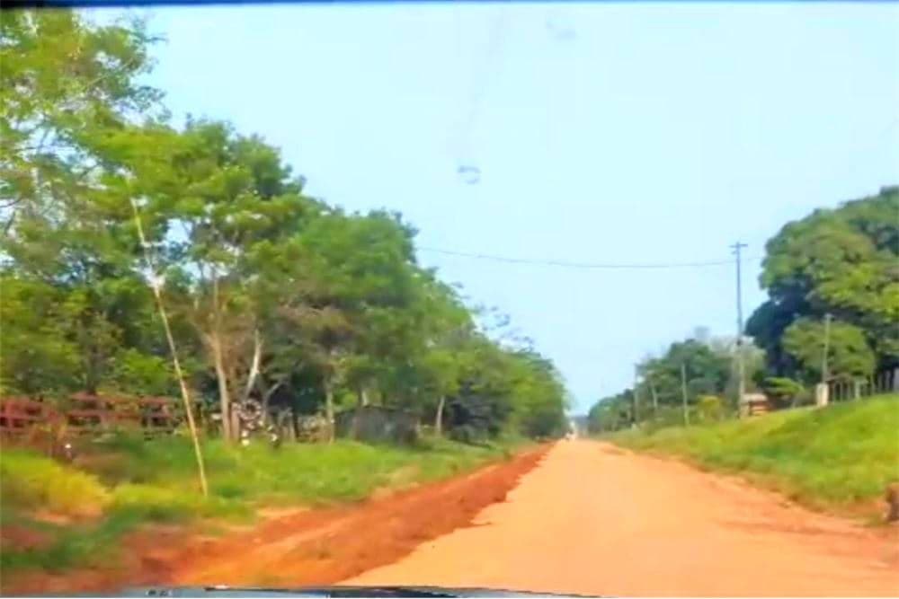 9 ha. En san estanislao, foto 2