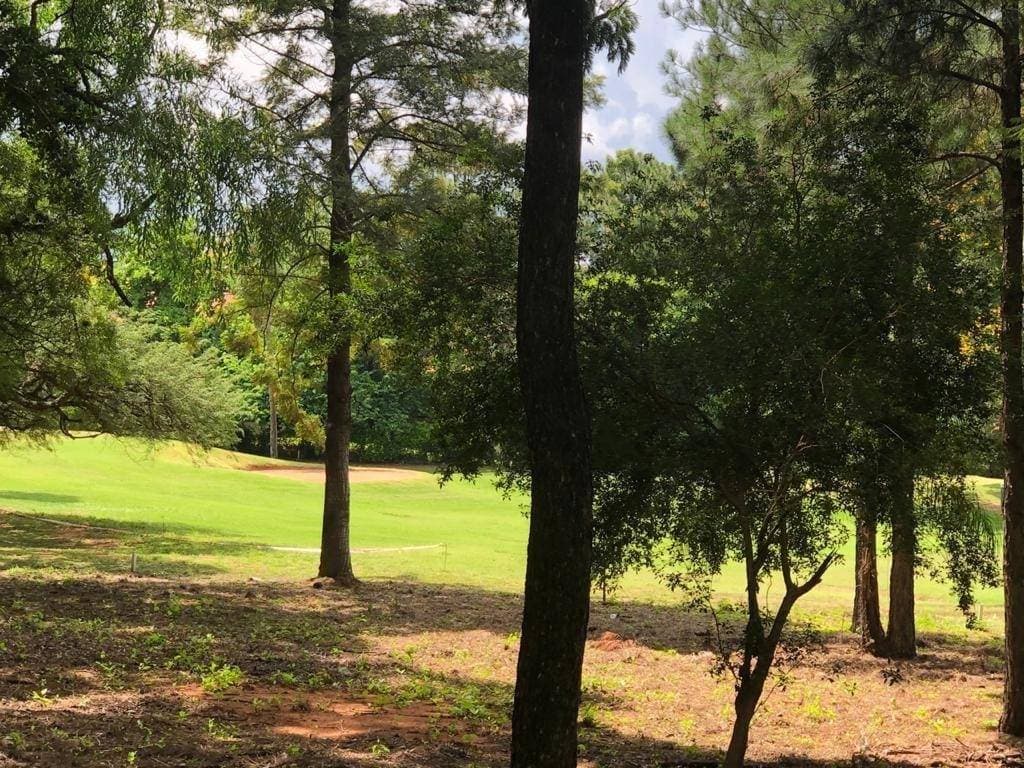 Terreno en zona privilegiada en lambare, foto 3