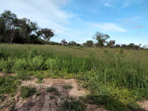Hermosa Estancia De 900has En Boquerón, foto 3
