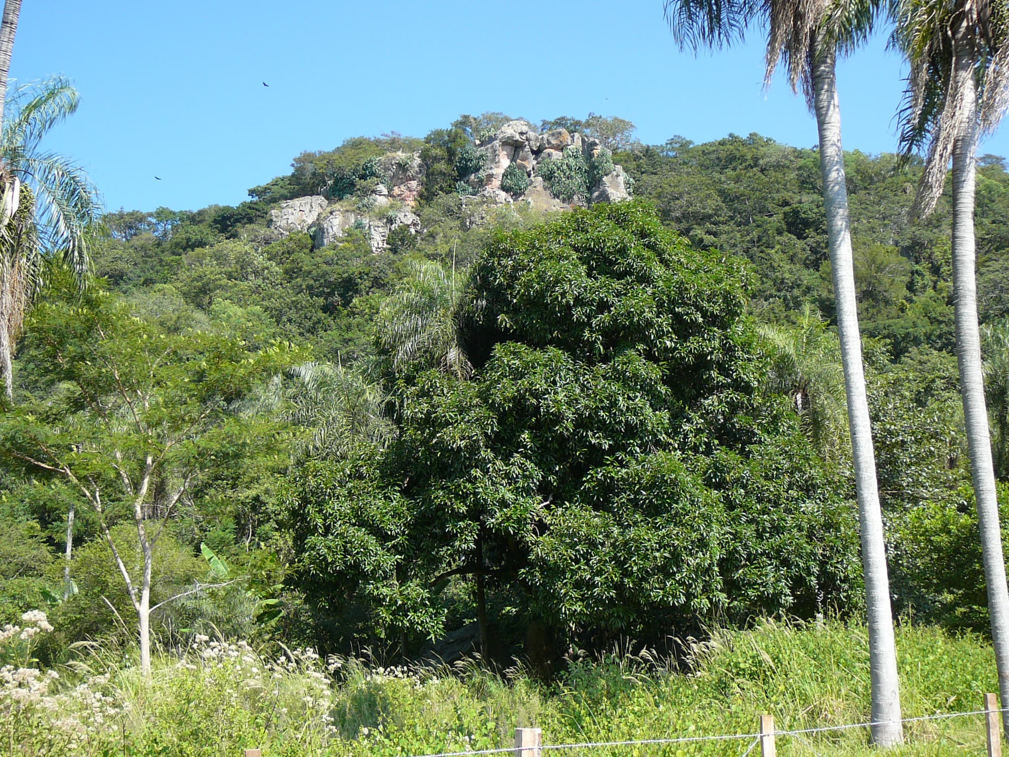 Terreno 8.6ha Con Cerro En Caacupe
