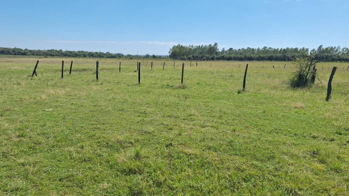 7 terrenos juntos en Villeta, foto 2