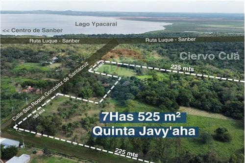 En Venta Importante Propiedad De 7 Hectáreas En San Bernardino — foto 2