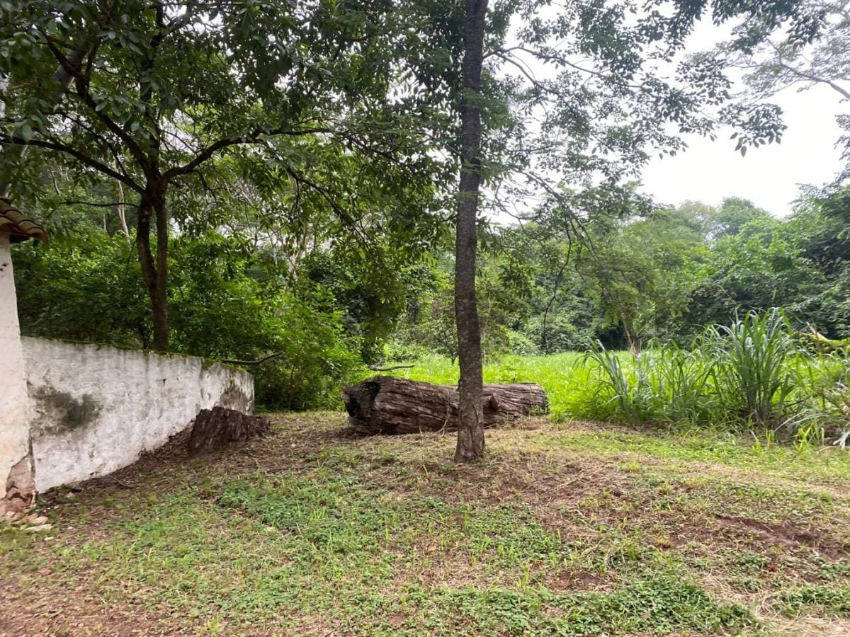 De terreno Mariano Roque Alonso, foto 2