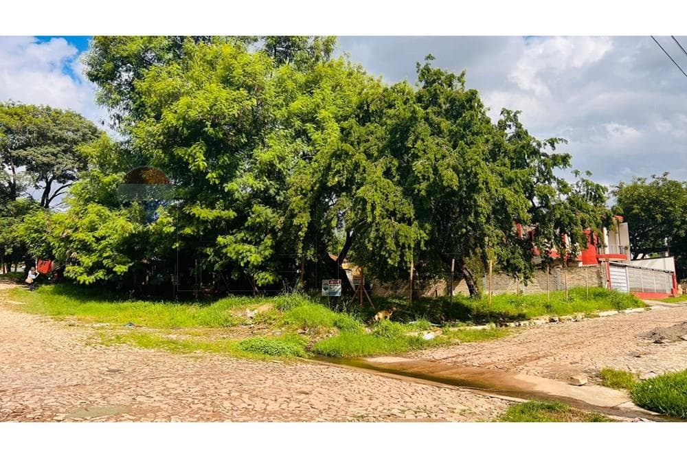 Terreno en Loma Pyta, Asunción Ideal para inversión o desarrollo, foto 4