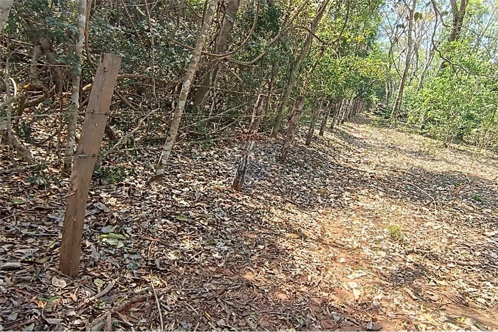 Campo 166,5 hectáreas - san pedro del ycuamandiyu, foto 5