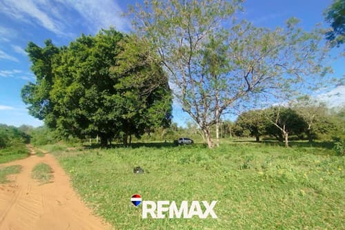 Terreno-Venta-Pindolo Areguá, Pindolo, Aregua, Central, foto 2