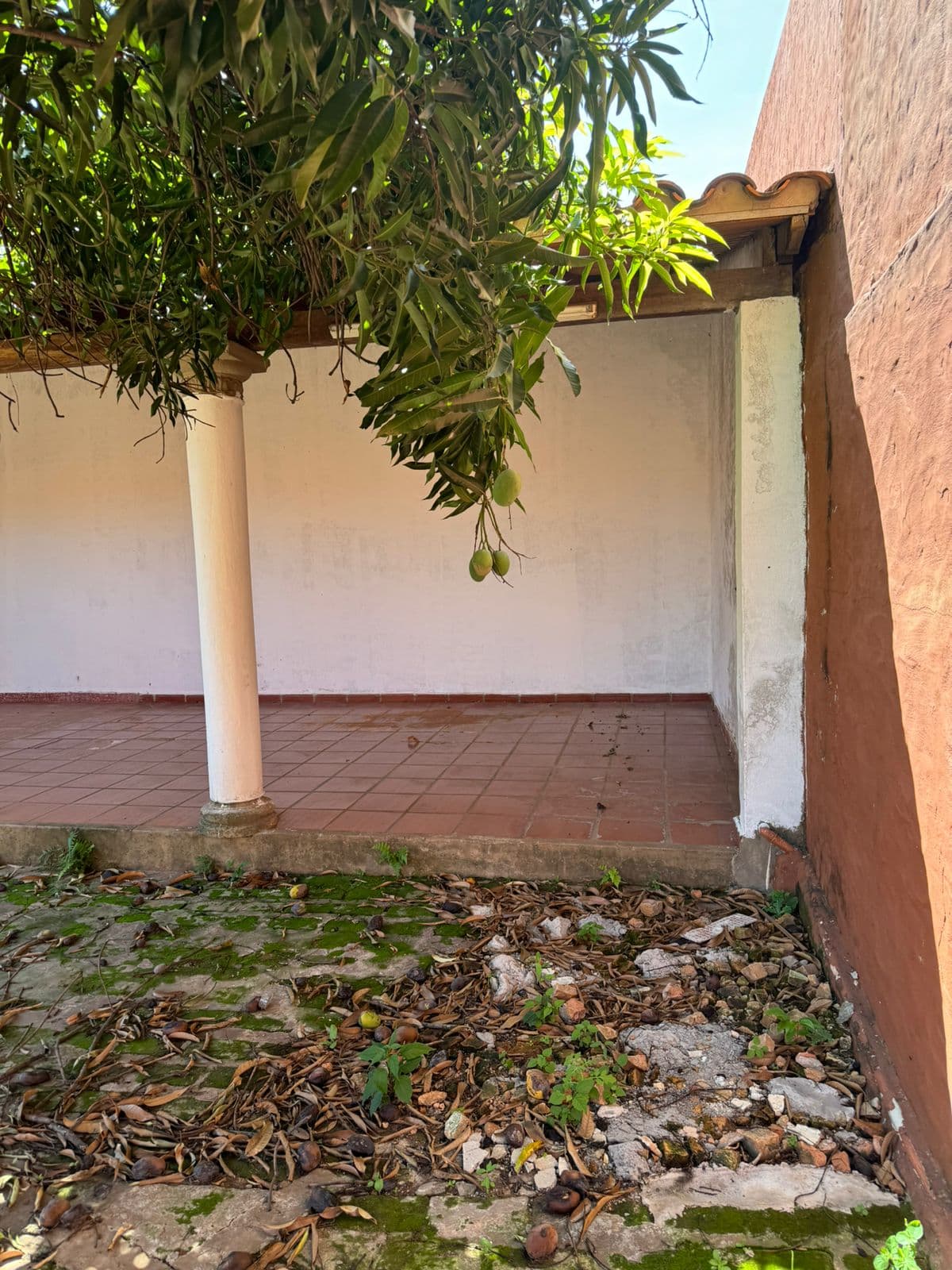 Terreno Con Construccion — foto 4