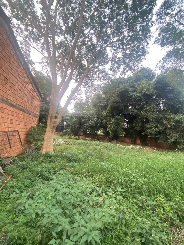 Terreno en lambare, foto 2