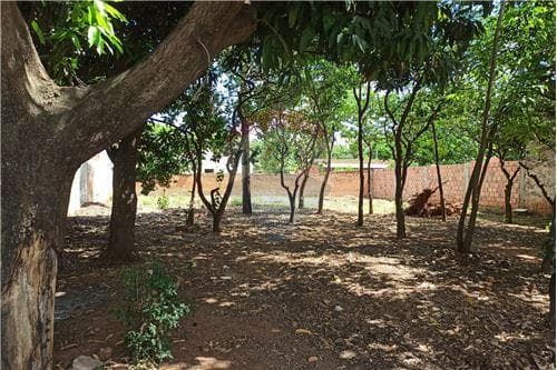 Terreno sobre asfalto en San Lorenzo, foto 4