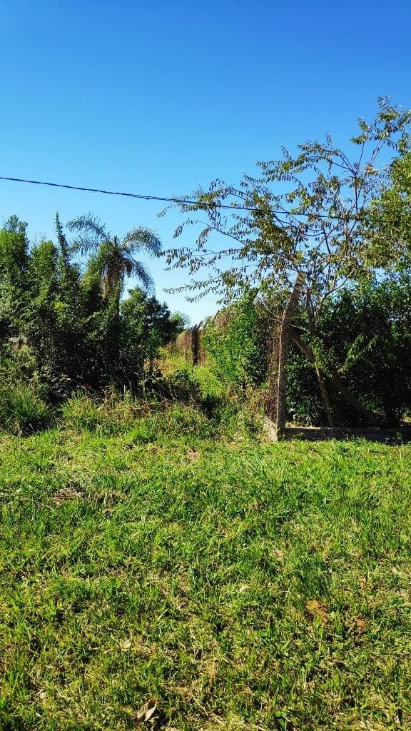 Terreno en villeta zona naranjasy, foto 4