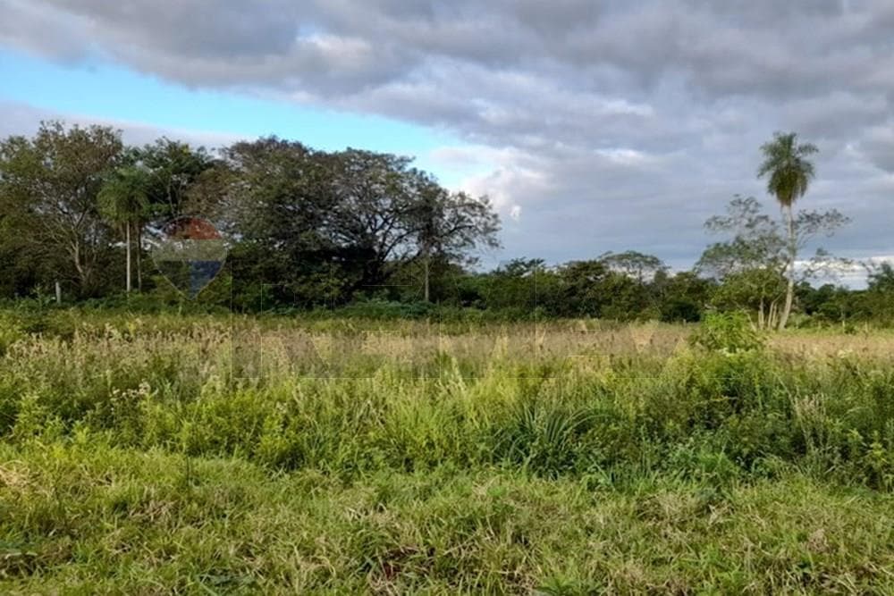Terreno en yaguaron km 61, foto 3