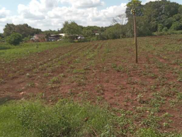 De terreno, foto 2