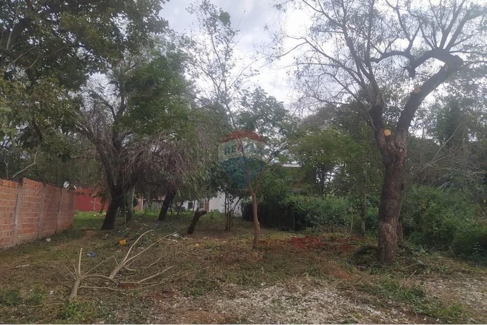 En Venta Terreno Luque, foto 3