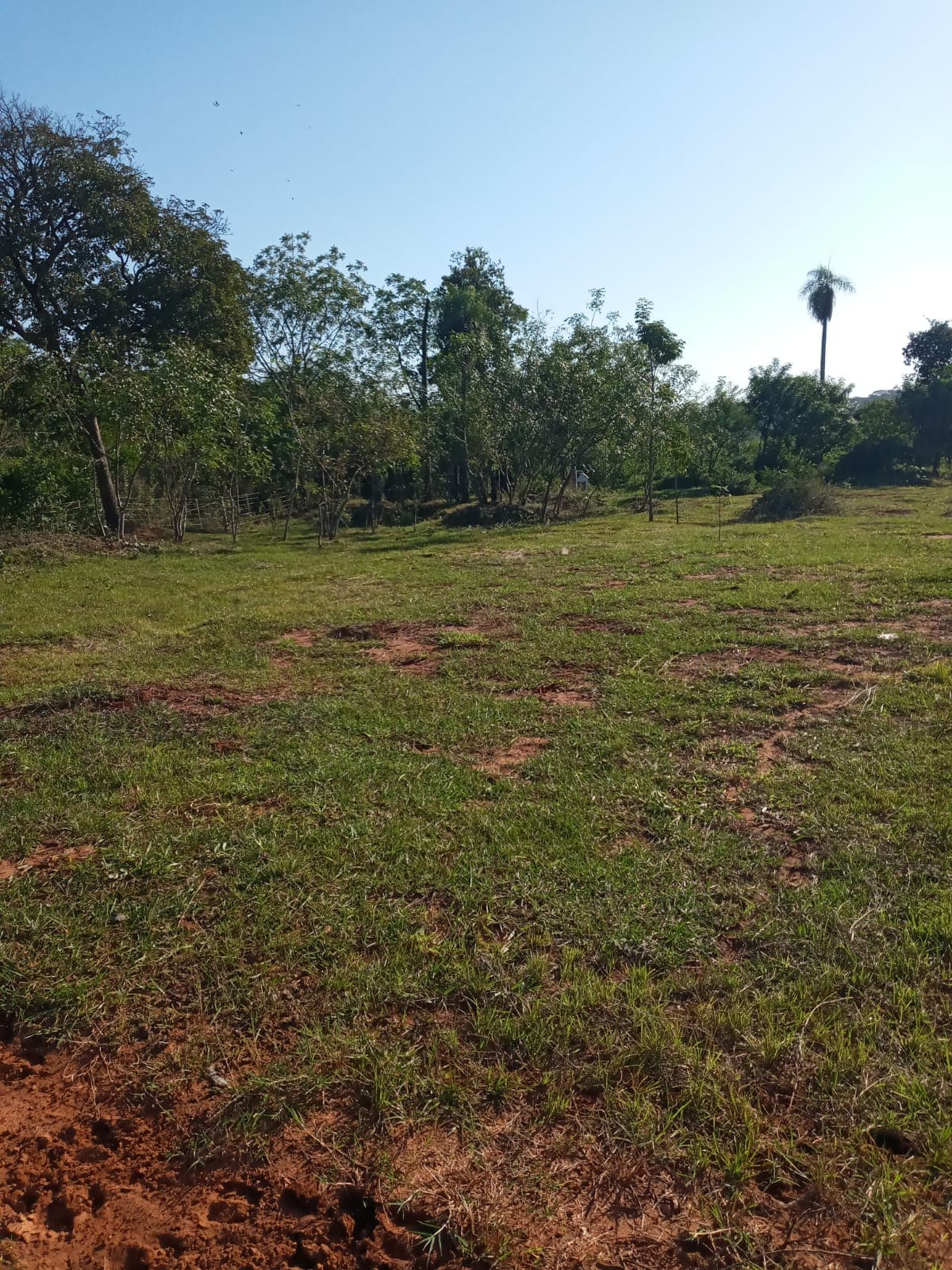 Luque Mora Cue 32.221m2 Cerca Fabrica Amandau — foto 3