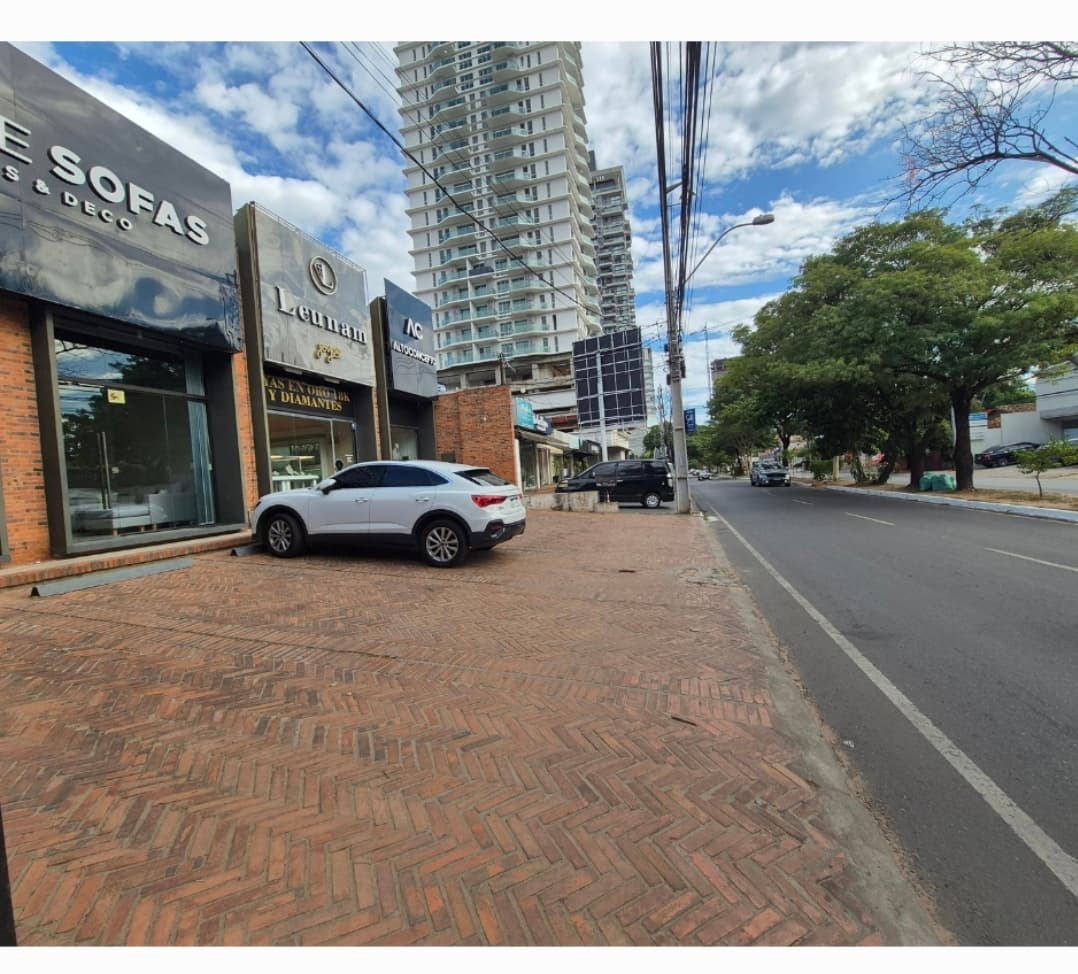 Gran Propiedad de 450 M2 Sobre San Martín, Ideal Para Inversionistas, foto 1
