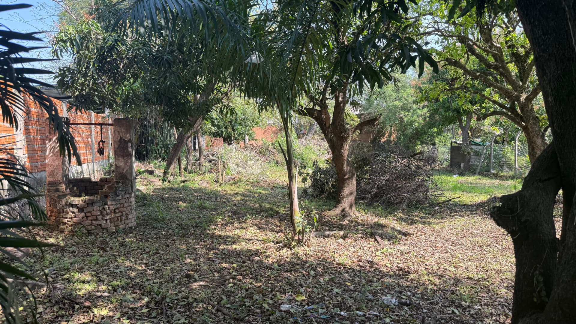 Terreno de 1182 m2 en la entrada de palma loma - Luque, foto 3