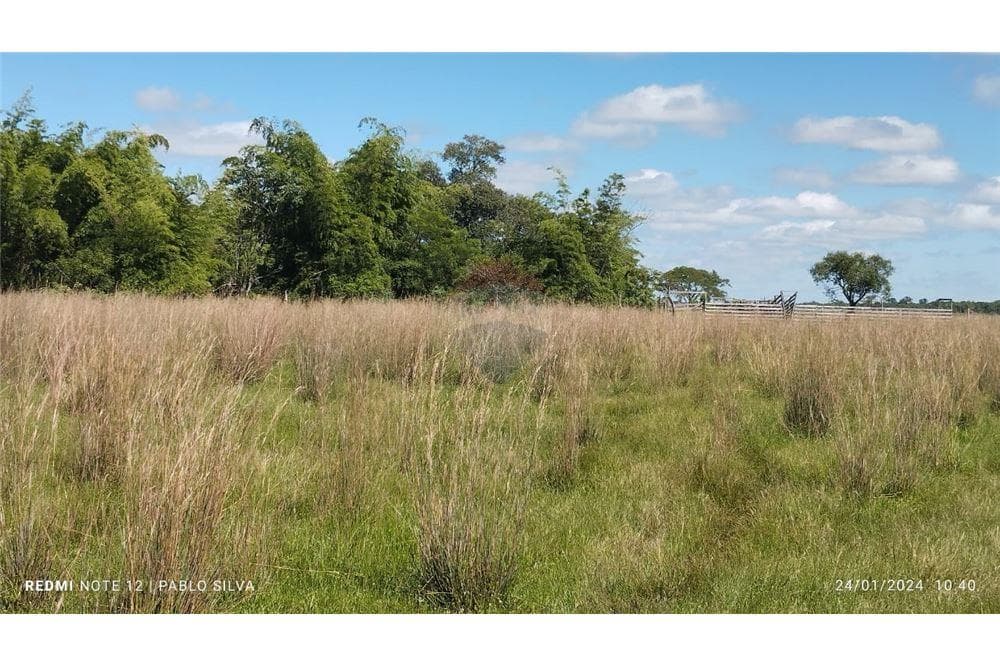 Especial para ganaderia vendo 270ha en ñeembucu estero kamba, foto 3