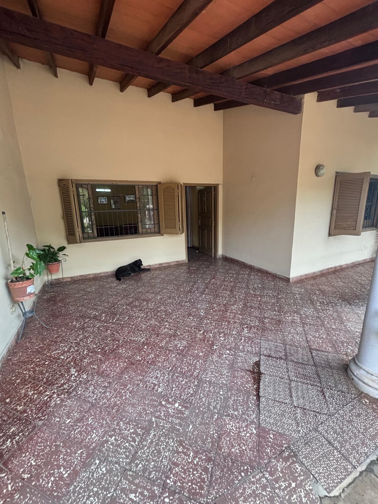 Propietario Vende – 500 M² Con 2 Casas En Zona Botánico — foto 4