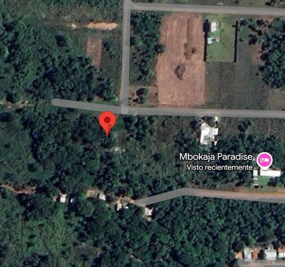 Amplio terreno de 3019 mts2 con frondosa vegetación y un arroyo, foto 2