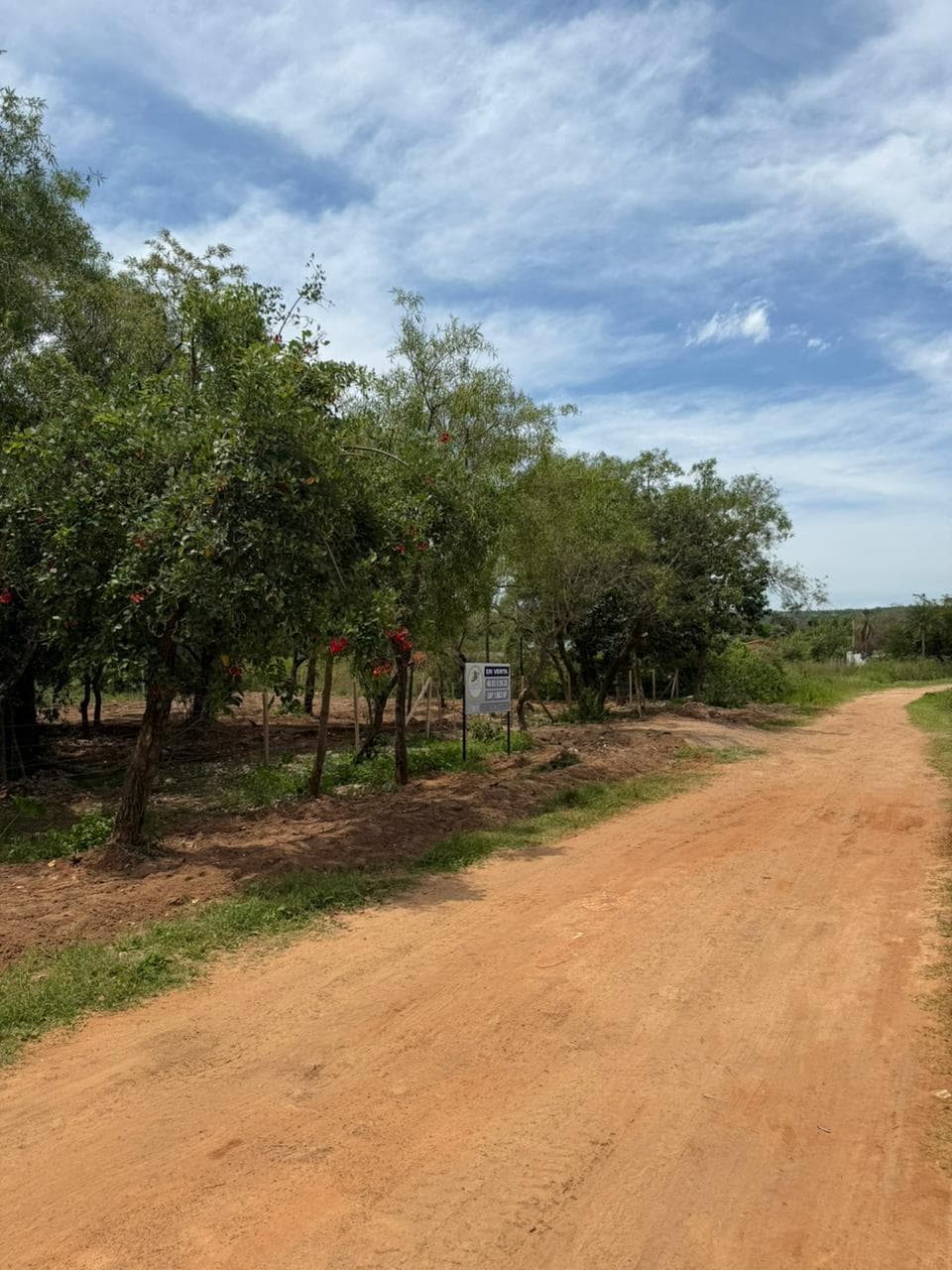 En Venta Terreno En San Bernardino, foto 3