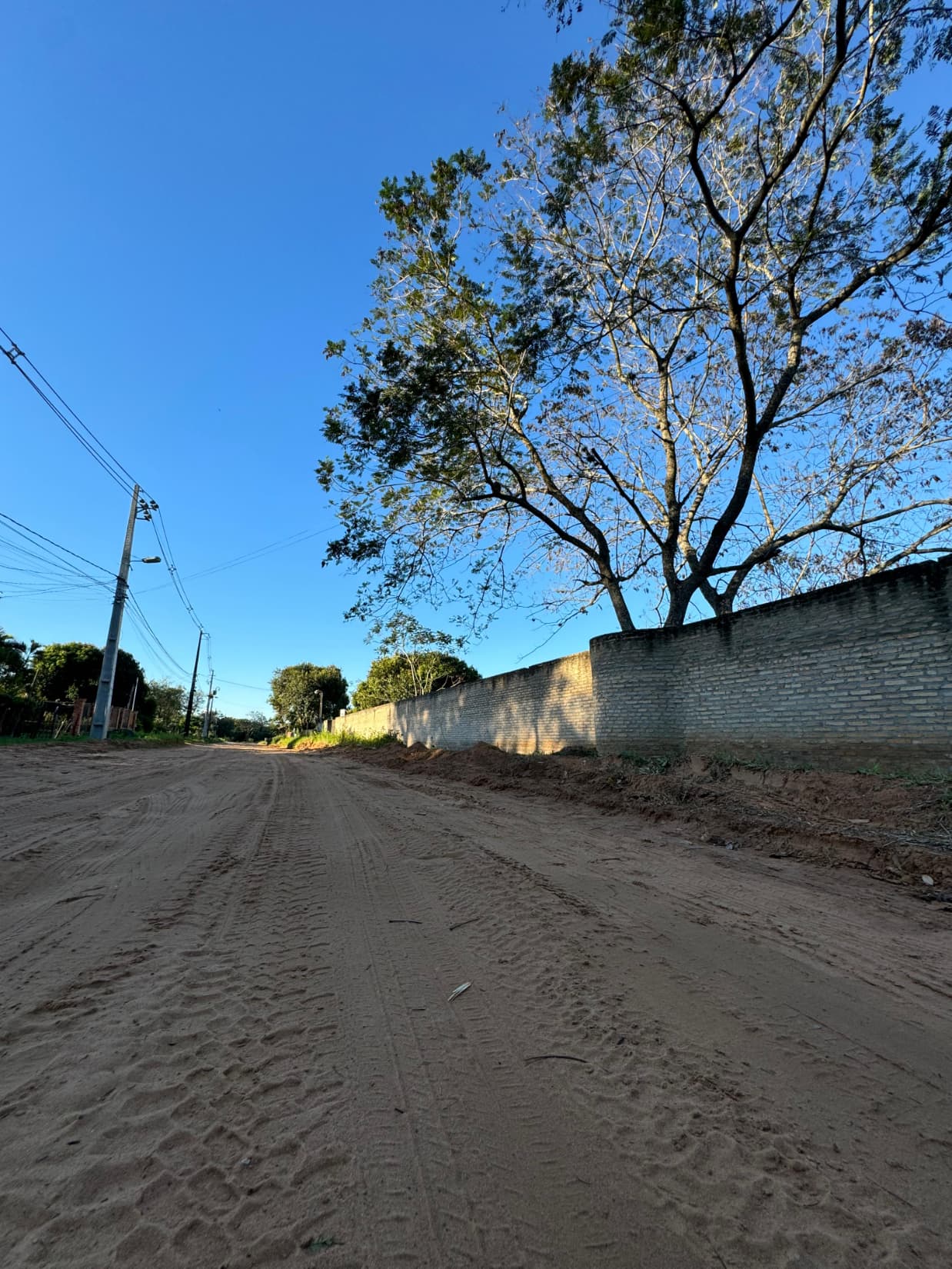 Importante terreno en Luque zárate isla 8064 m2 — foto 2