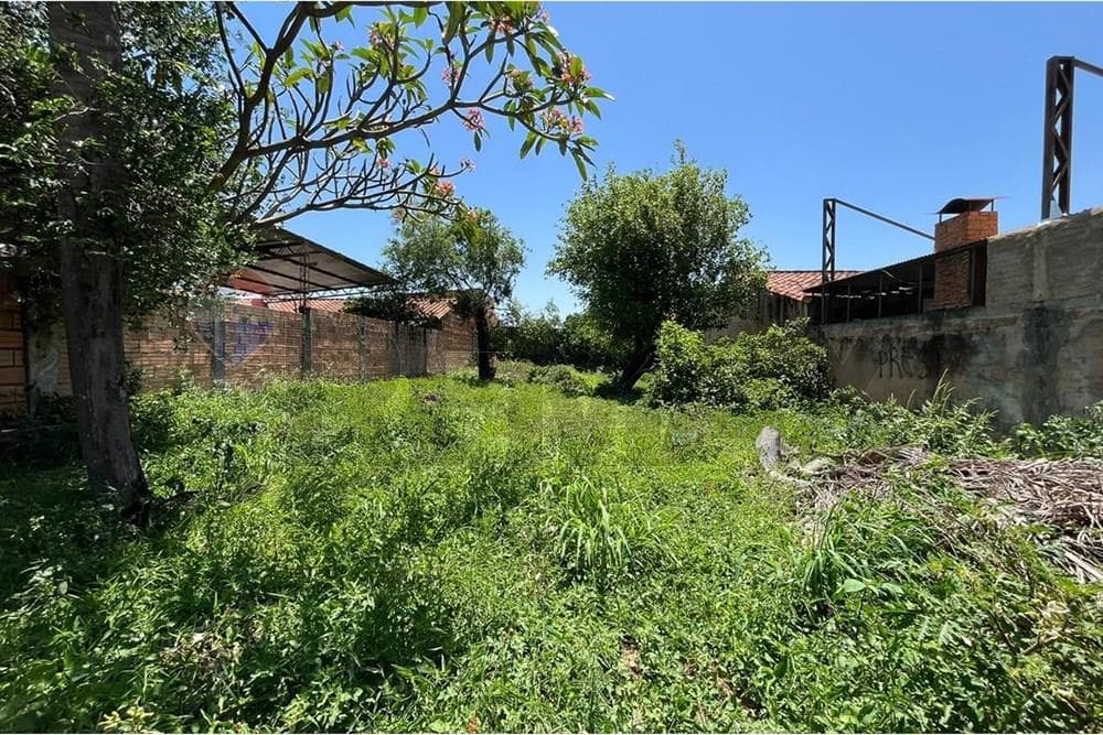Terreno entre mcal. Lopez y madame lynch, foto 2