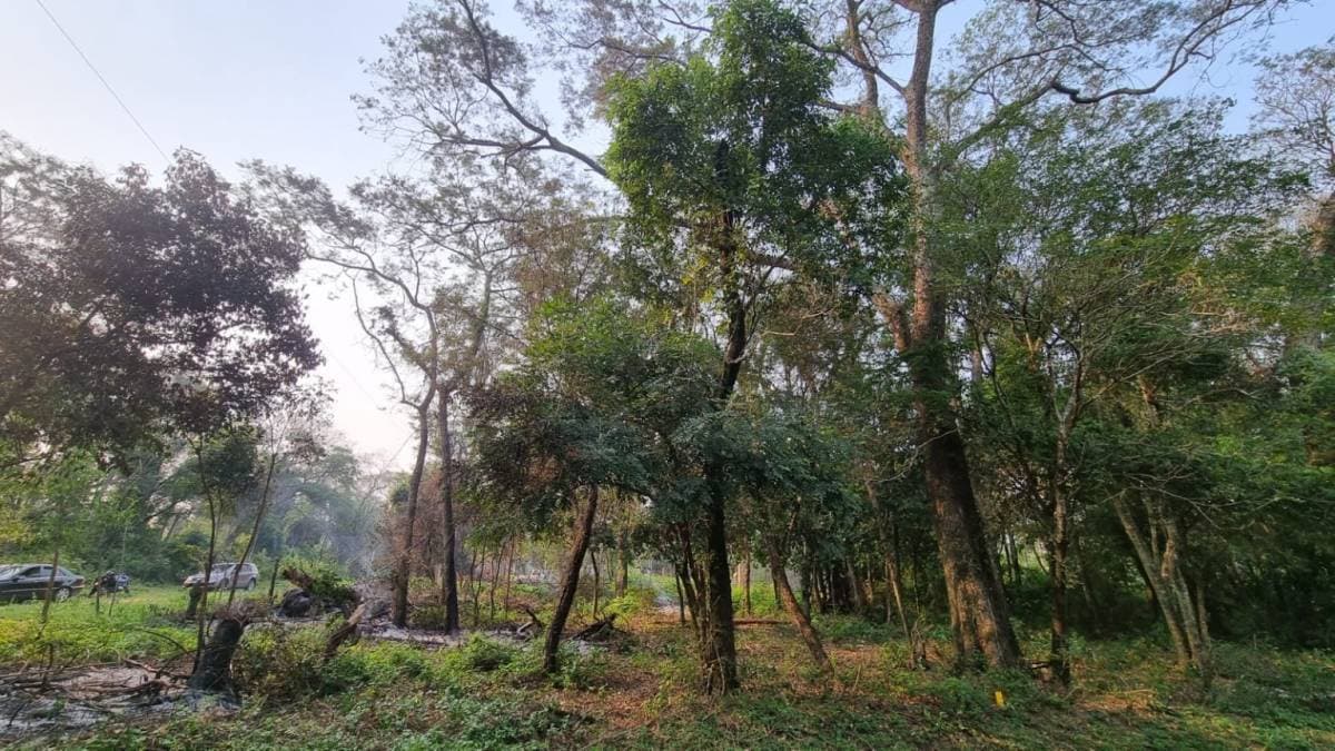 Terrenos en ciervo cua San Bernardino — foto 5