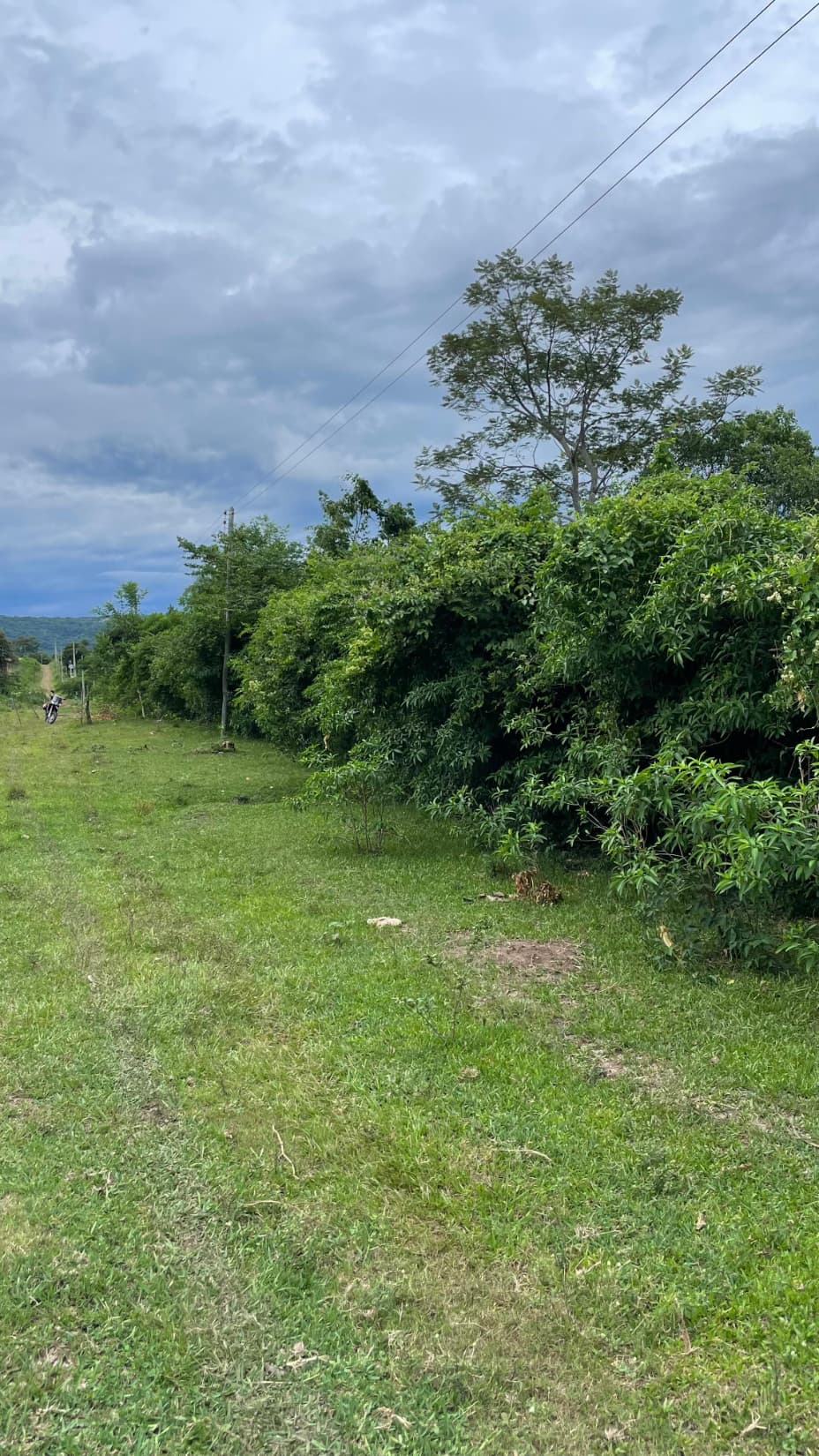 12,9 hectáreas en Sapucai Hermosas vistas, foto 4