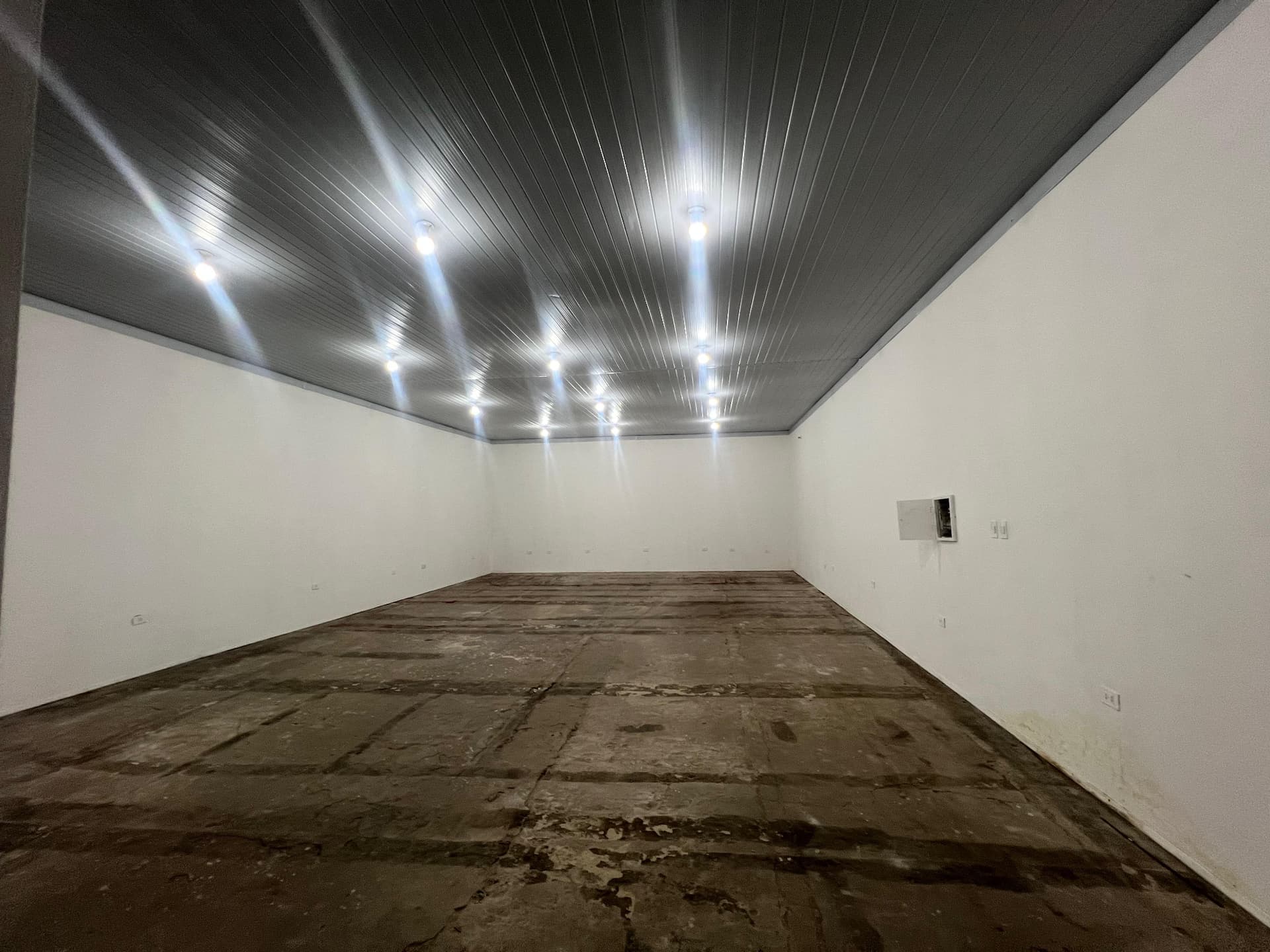 Local comercial s/eusebio ayala, foto 2