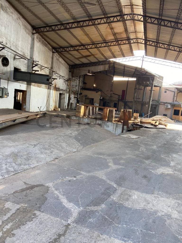 Importante propiedad con tinglado zona artigas, foto 4