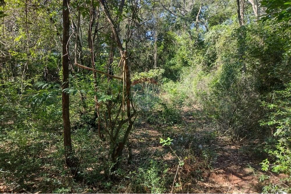 Terreno - Venta - Aregua, Paraguay, Proyecta, foto 3