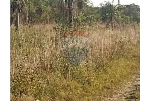 Terreno - Venta - Paraguay Cordillera San Bernardino