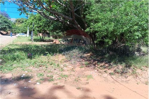 Terreno en venta, Villa Elisa, foto 2