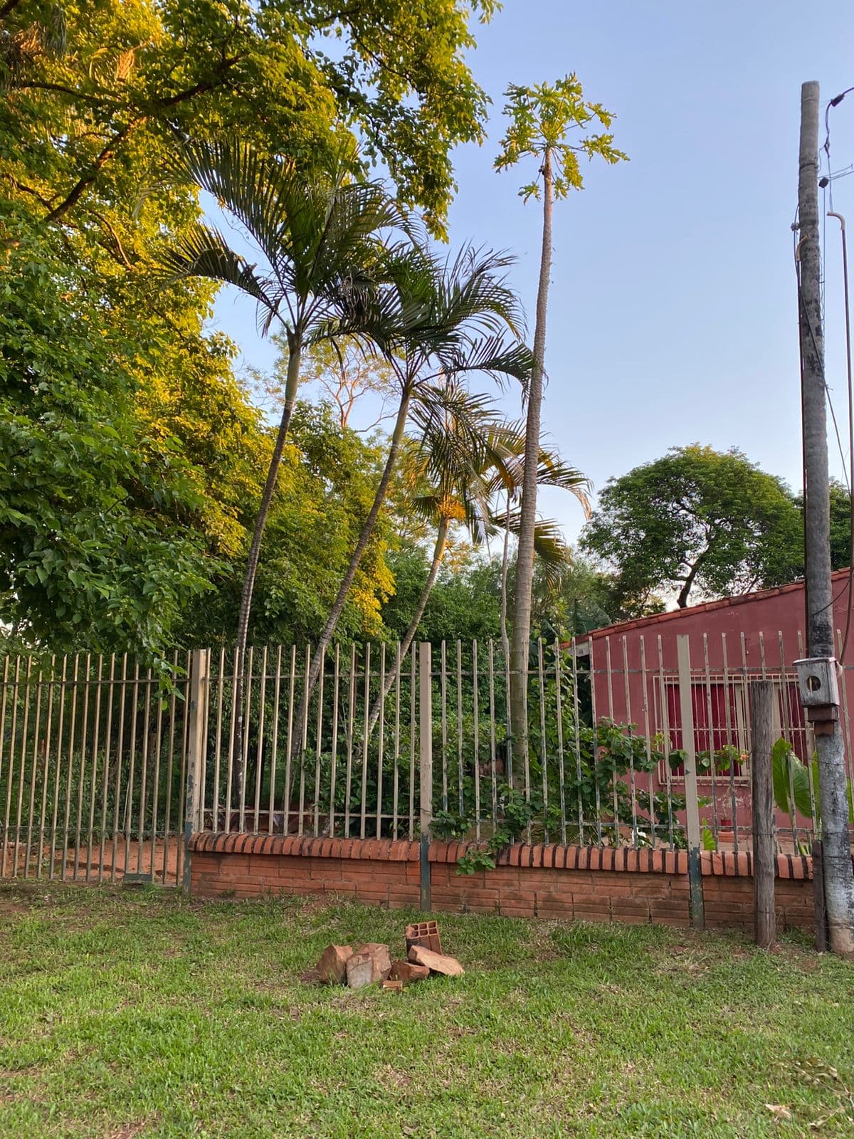 Terreno en isla bogado, Luque, foto 2