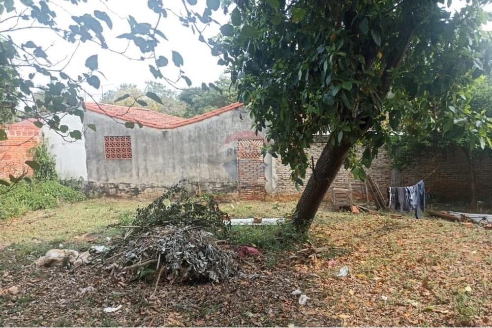 Amplio terreno en Luque laurelty, foto 3