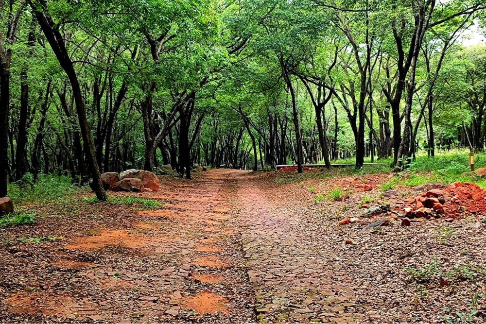 Terreno-Venta-RUTA YPAKARAI - AREGUA PATIÑO, Ypacaraí, Central, foto 1