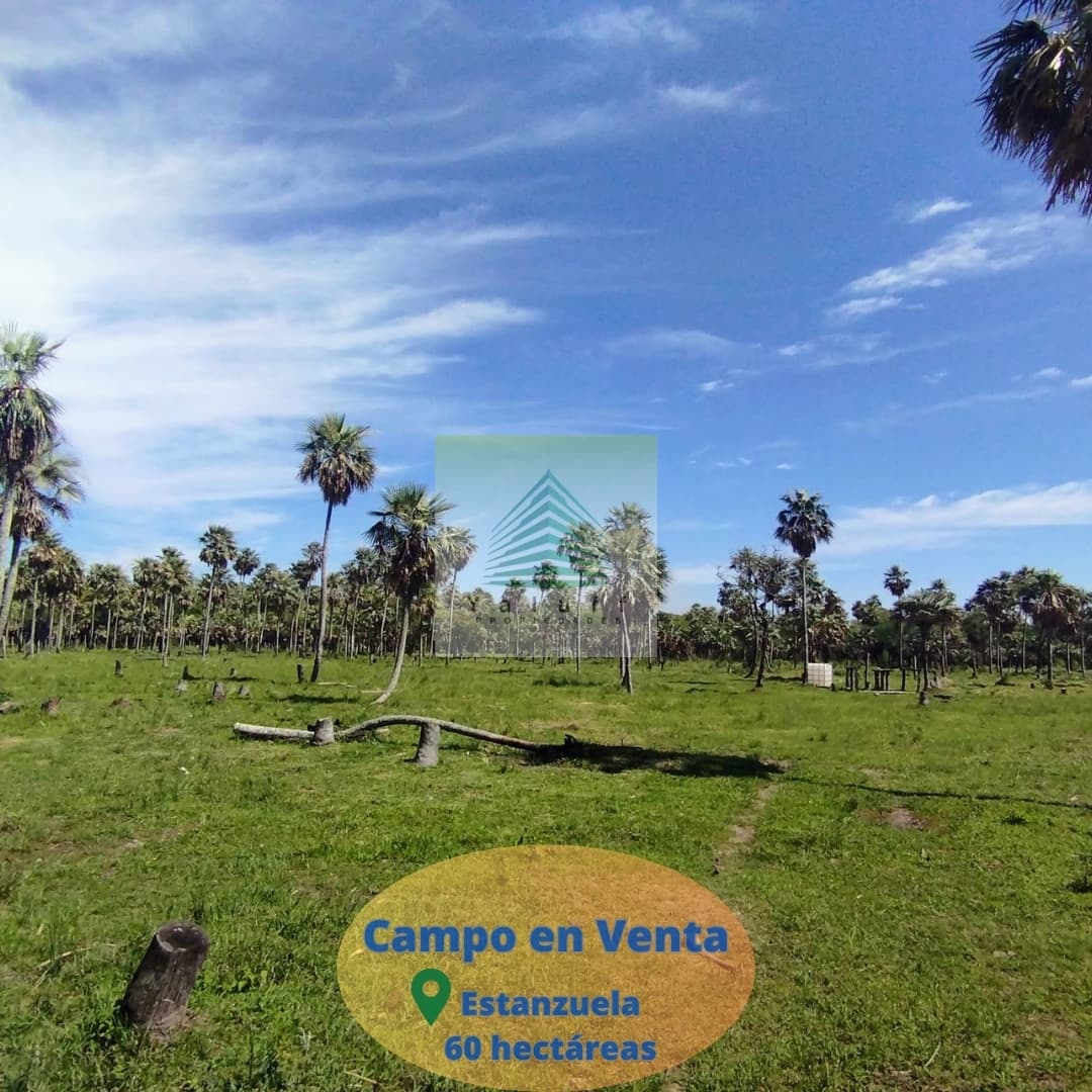 Campo en estanzuela villa oliva de 60 has para ganadería — foto 3