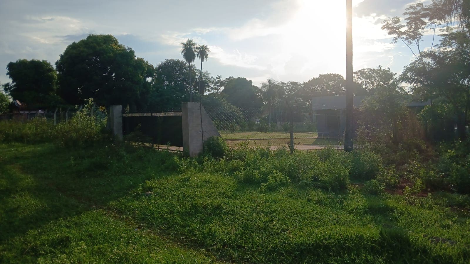 Terreno, foto 4