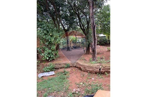Terreno en San Lorenzo: ¡Construye Tu Hogar Ideal!, foto 3