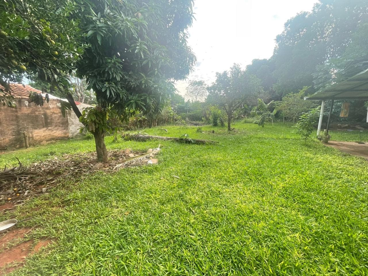 ???????? Terreno en venta – Villa Elisa | barrio villa bonita, foto 3