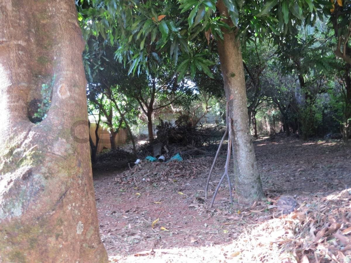 de Terreno en Luque, Central, foto 3