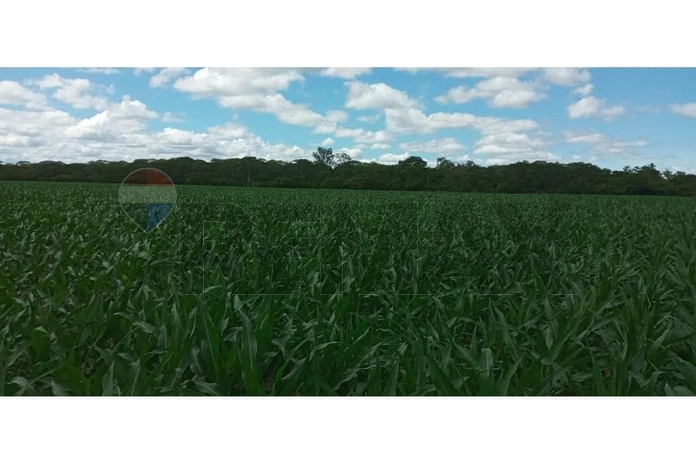 En venta Estancia en Bahía Negra Chaco Paraguayo, foto 4