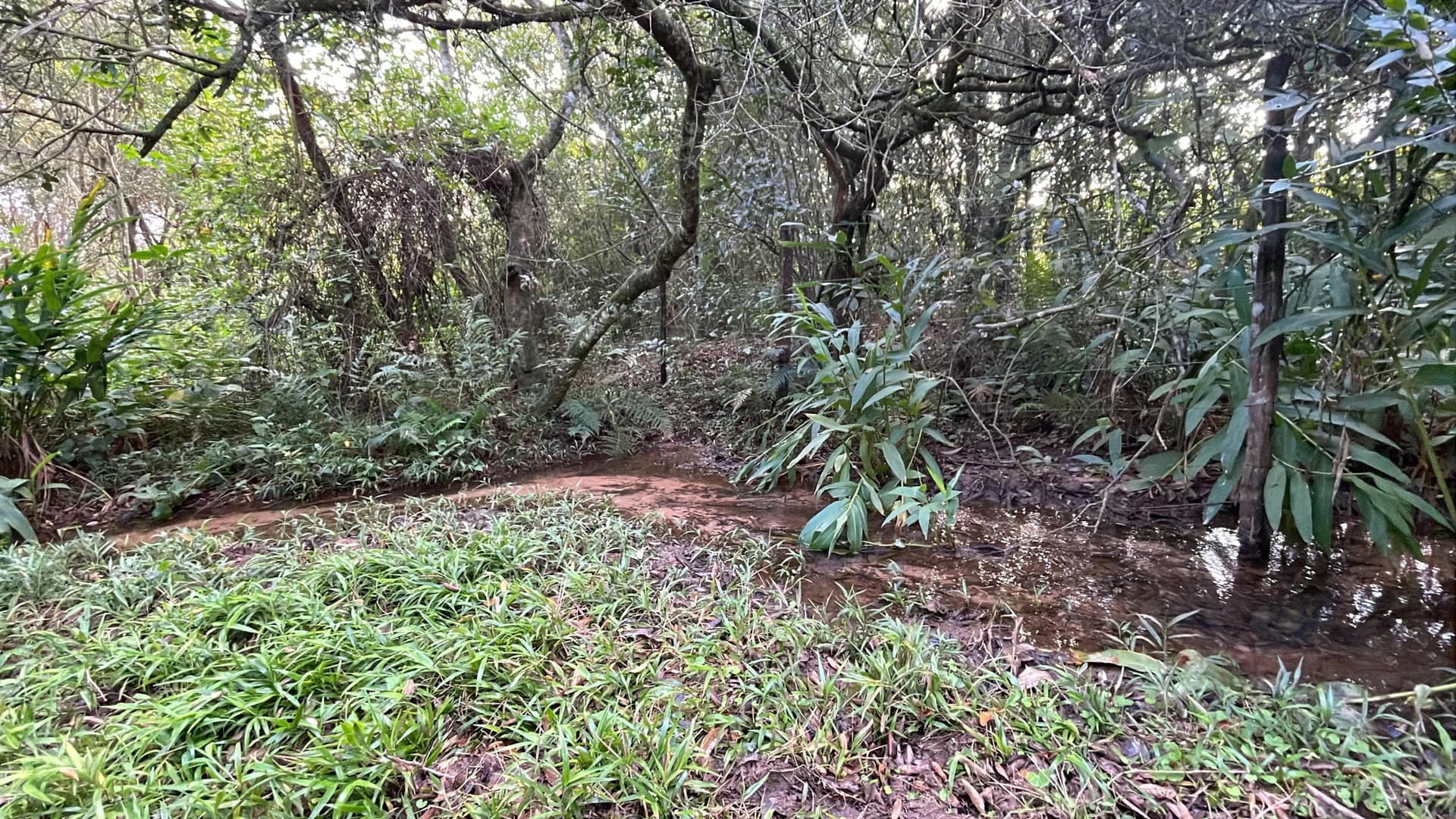 2 hectáreas con arroyito y vistas en Eusebio Ayala A 3 km de Ruta 2, foto 2