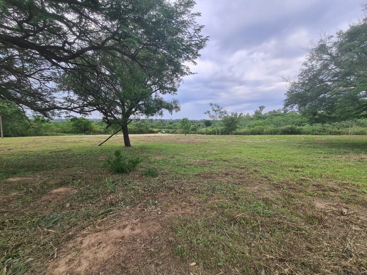 En venta – 2 hectáreas Luque -isla bogado, foto 5
