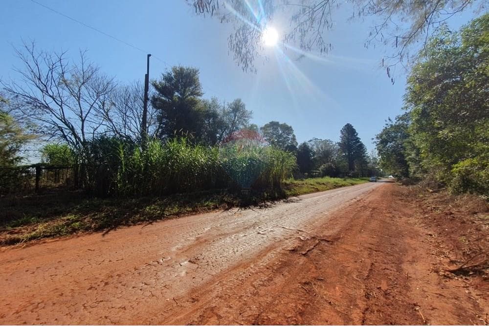 Granja formada en colonia nueva fortuna, foto 4