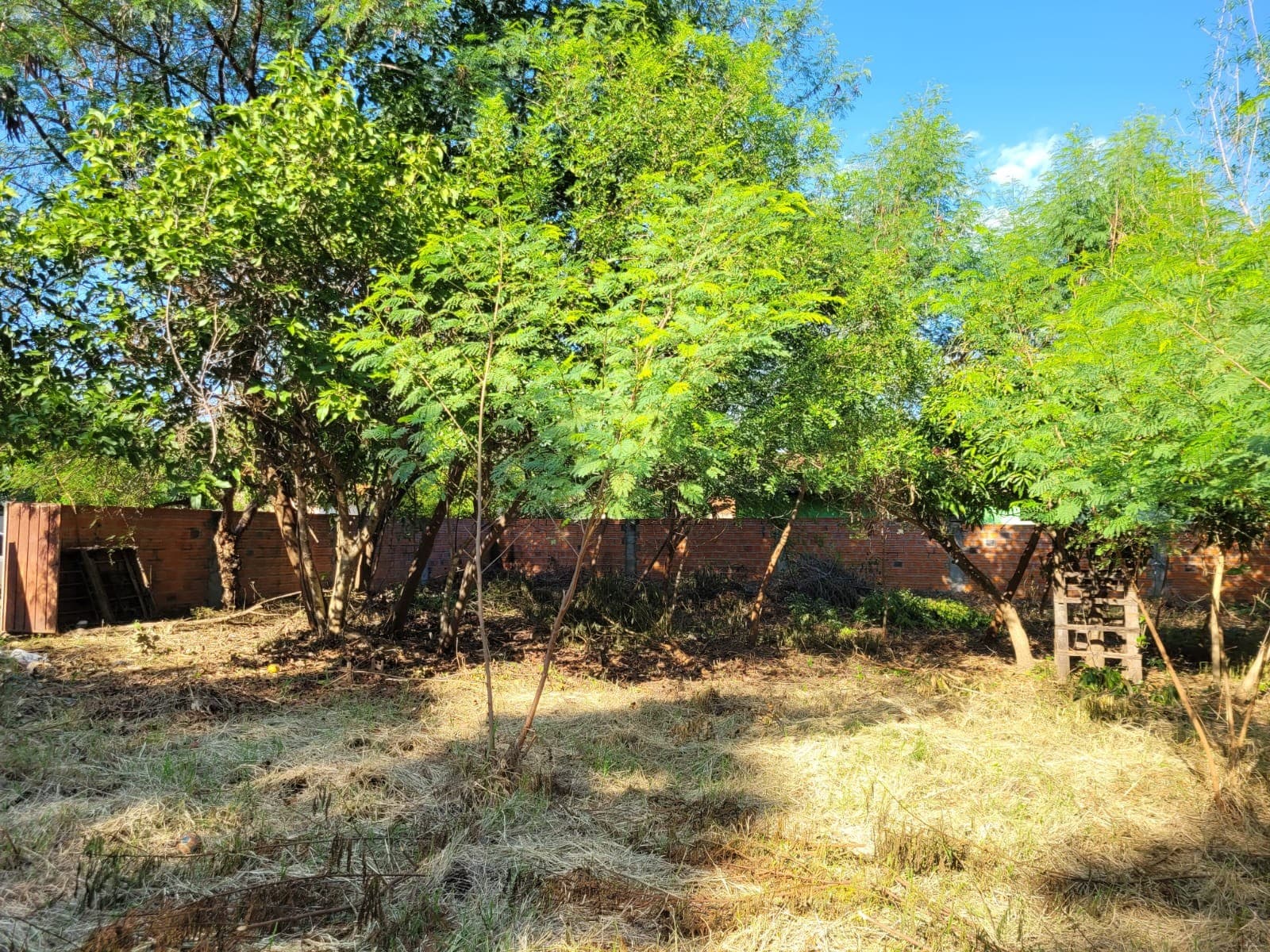Terreno En Venta - Luque, Barrio Campo Grande — foto 5