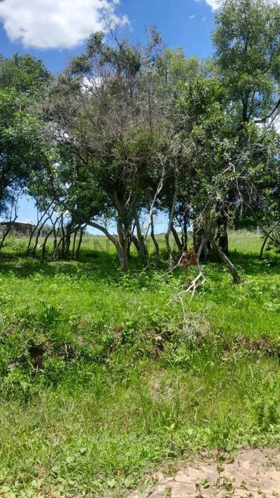 Venta De Terreno En Pirebebuy, Cordillera
