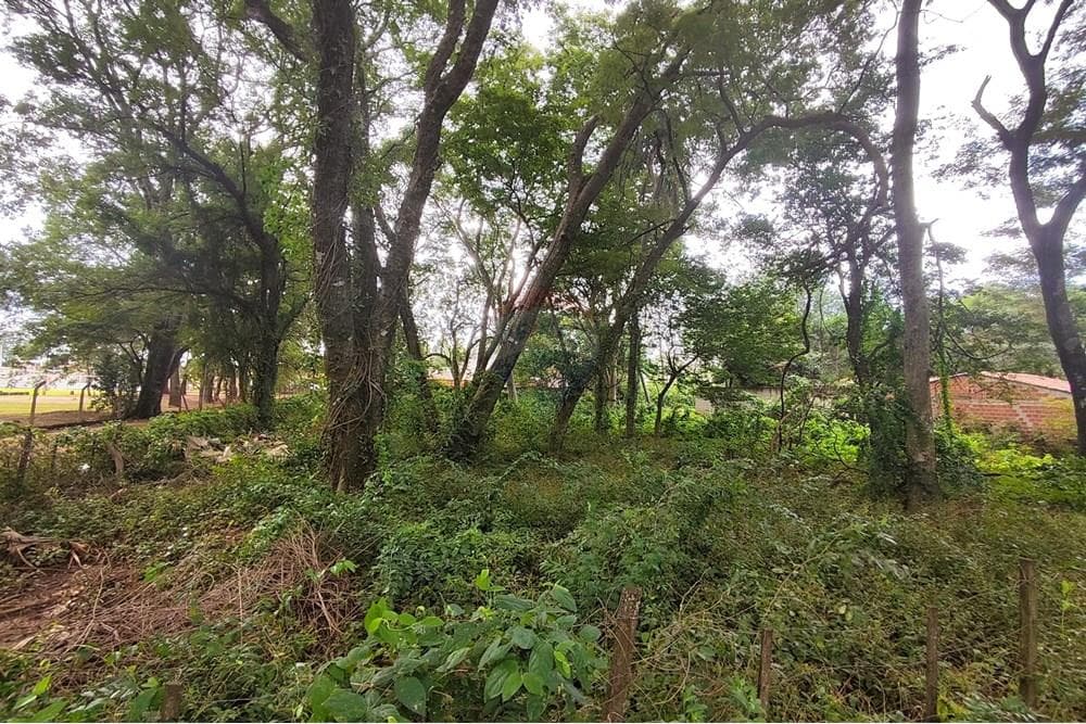 Terreno - Venta - Paraguay Central Mariano Roque Alonso, foto 3